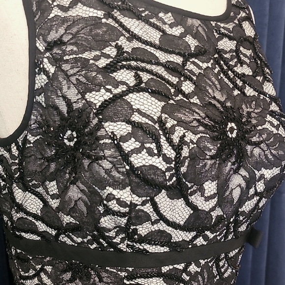 Carmen Marc Valvo Black and White Bodycon Midi Dress NWOT - Picture 4 of 7